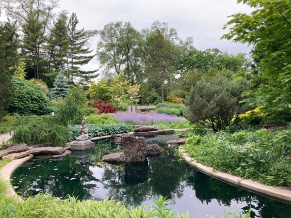 Outdoor Ponds_Garden Pond