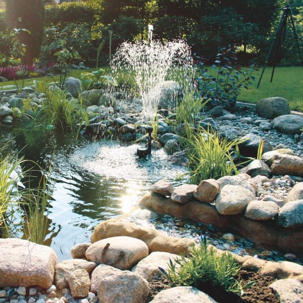 Outdoor ponds Medium ponds